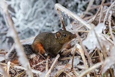 《咖啡物语》系列最新作《咖啡物语 东京》预告公布 将于2025年推出