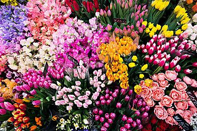 末日题材RTS《Incoming War》今日上线steam 发售时间暂定